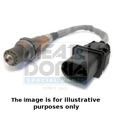 Oxygen Sensor